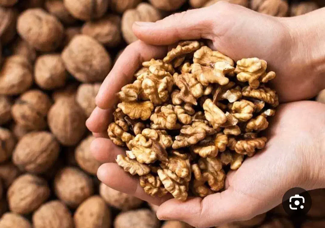 گردو|خوردنی و آشامیدنی|تهران, پرستار|دیوار