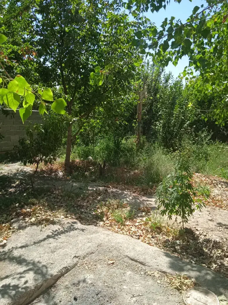 باغ۳۰۰متریسندتکبرگملاردویلایجنوبی|فروش خانه و ویلا|ملارد, |دیوار