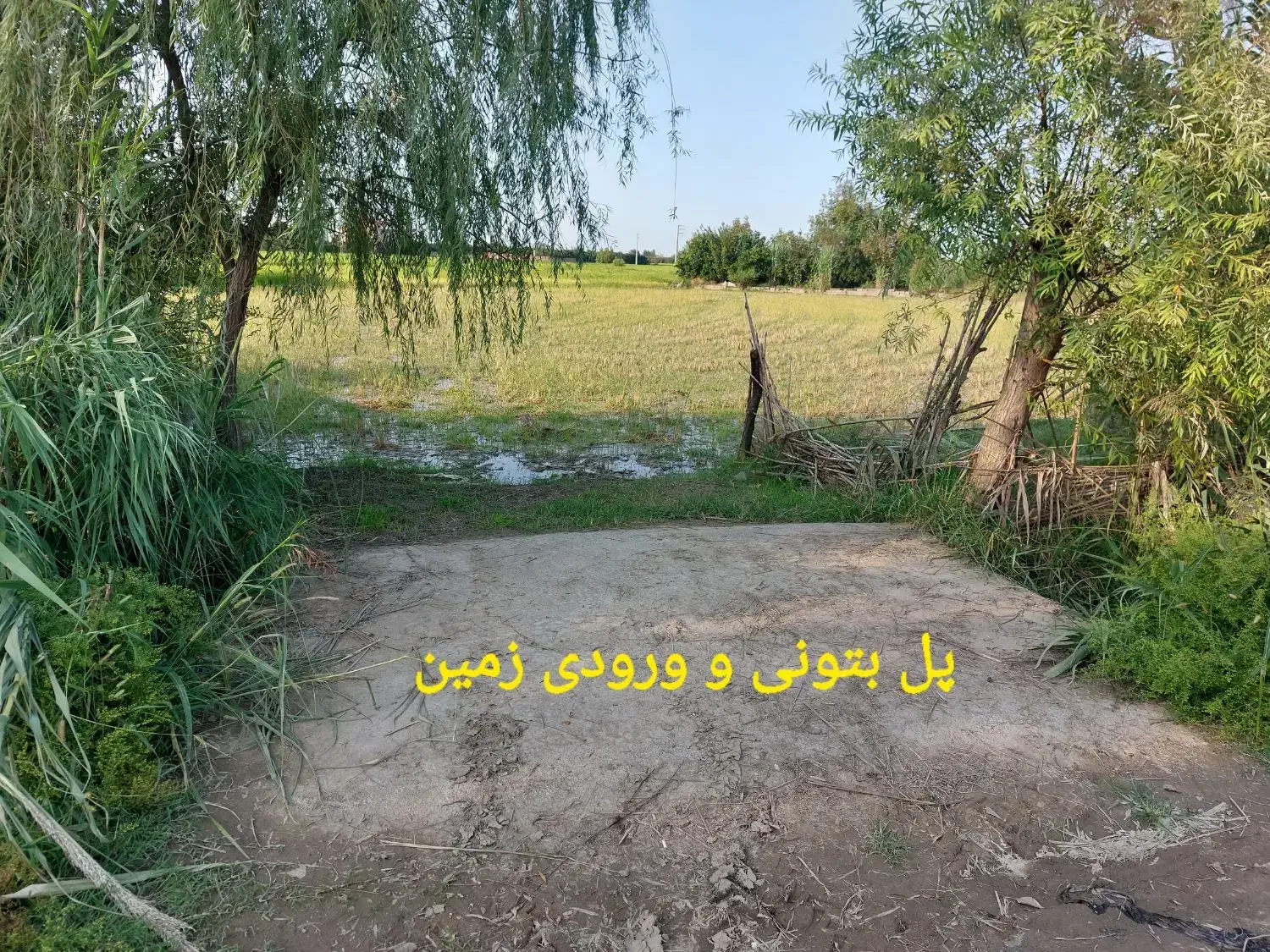 فروش زمین کشاورزی|فروش زمین و ملک کلنگی|زرگرشهر, |دیوار