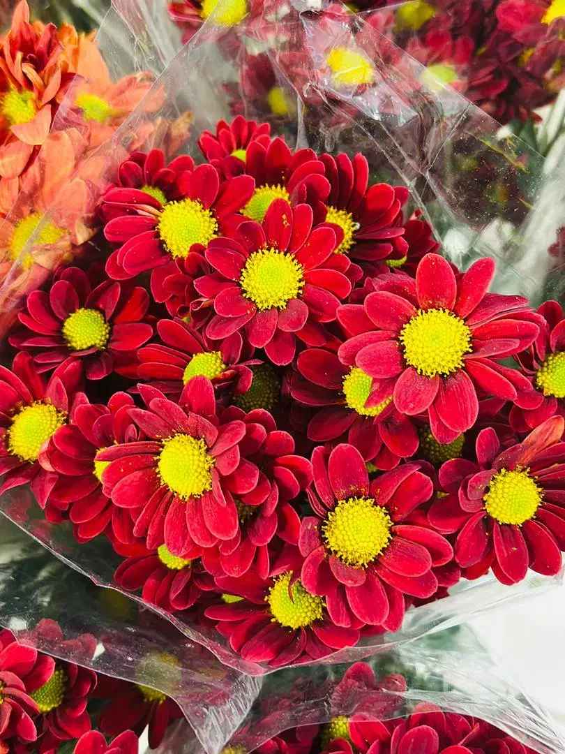 گلجهتحجاجوکربلاییهایعزیز|گل مصنوعی|بیرجند, |دیوار