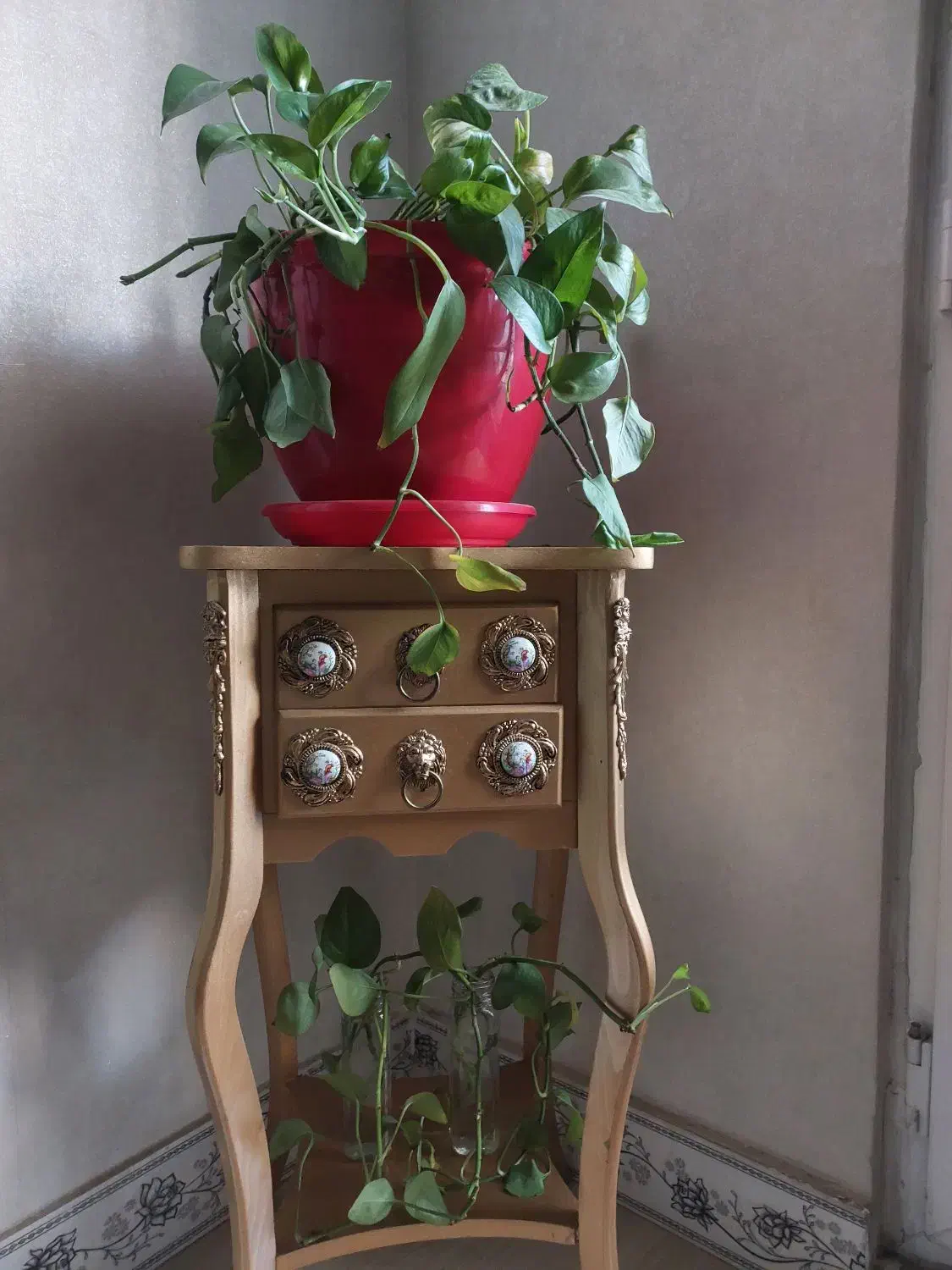 گل پتوس گل وگلدان  با گلهای تو شیشه همه باهم|گل و گیاه طبیعی|قرچک, مهدیه|دیوار