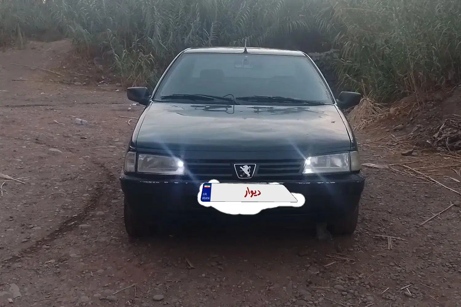 پژو RDi|خودرو سواری و وانت|لوشان, |دیوار