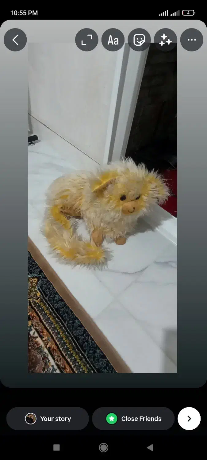 عروسک|اسباب‌‌بازی|بوکان, |دیوار
