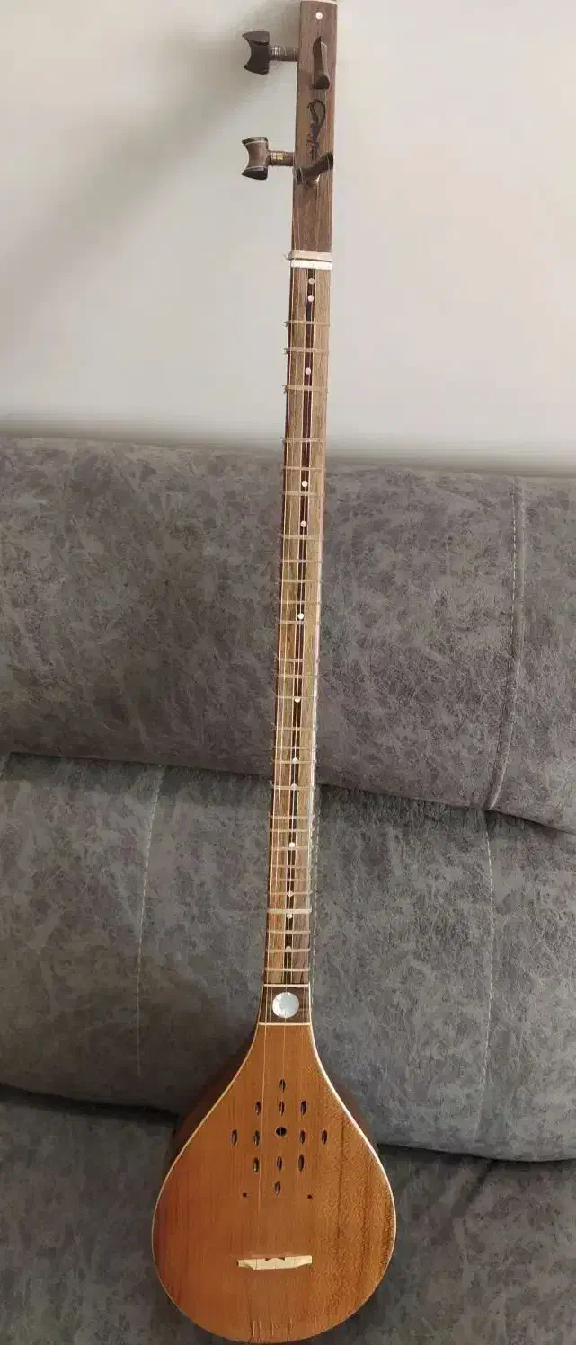 سه تار حرفه ای و زیبا مُهر منصور رمضانی|سازهای سنتی|اصفهان, نقش جهان|دیوار