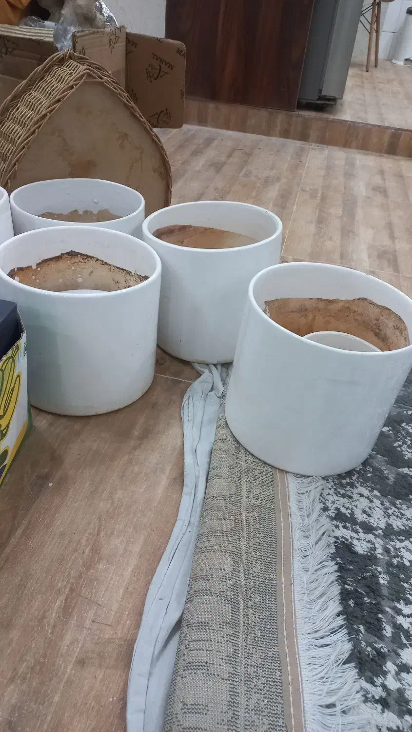 گلدان سرامیکی بزرگ|گل و گیاه طبیعی|تهران, مشیریه|دیوار