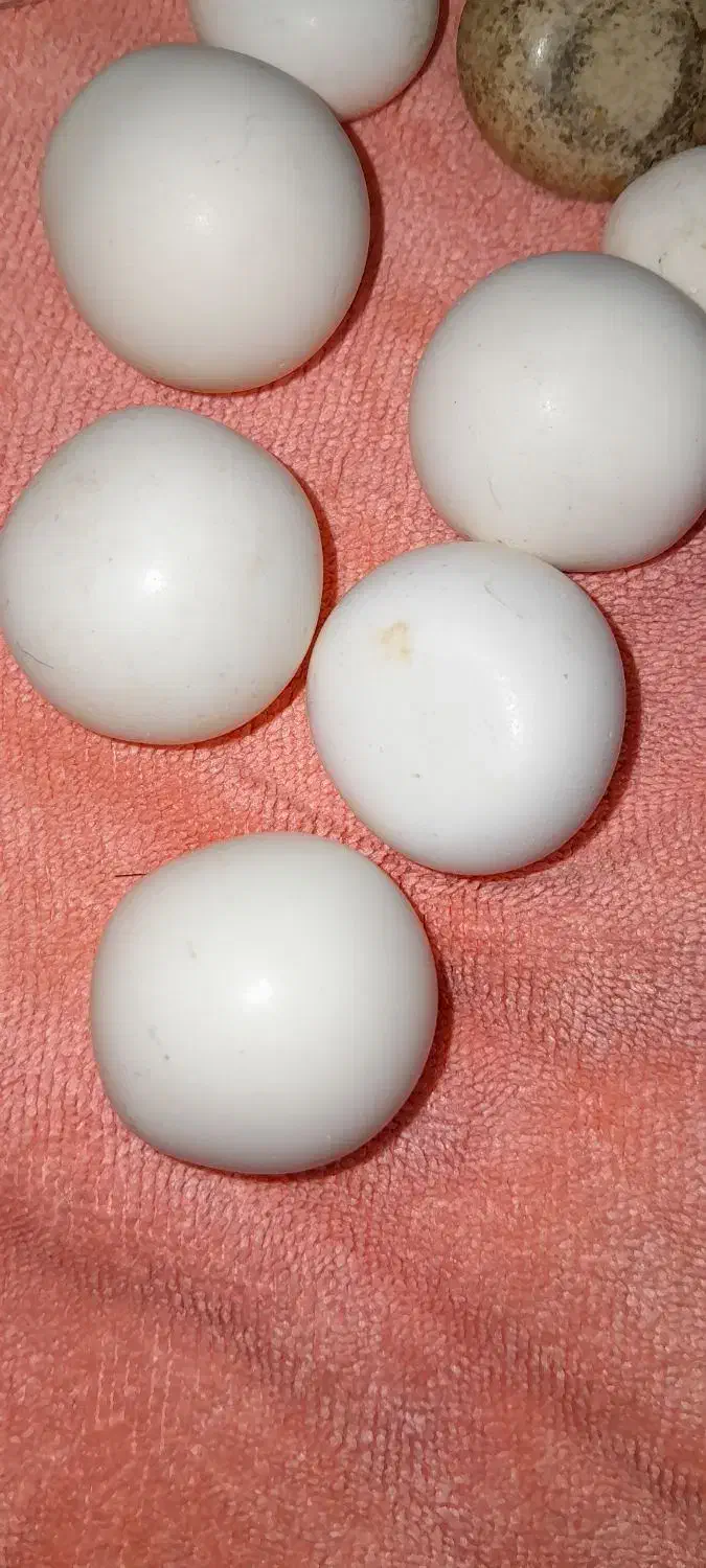 سنگ اسیاب قیمتی|جواهرات|بروجرد, |دیوار