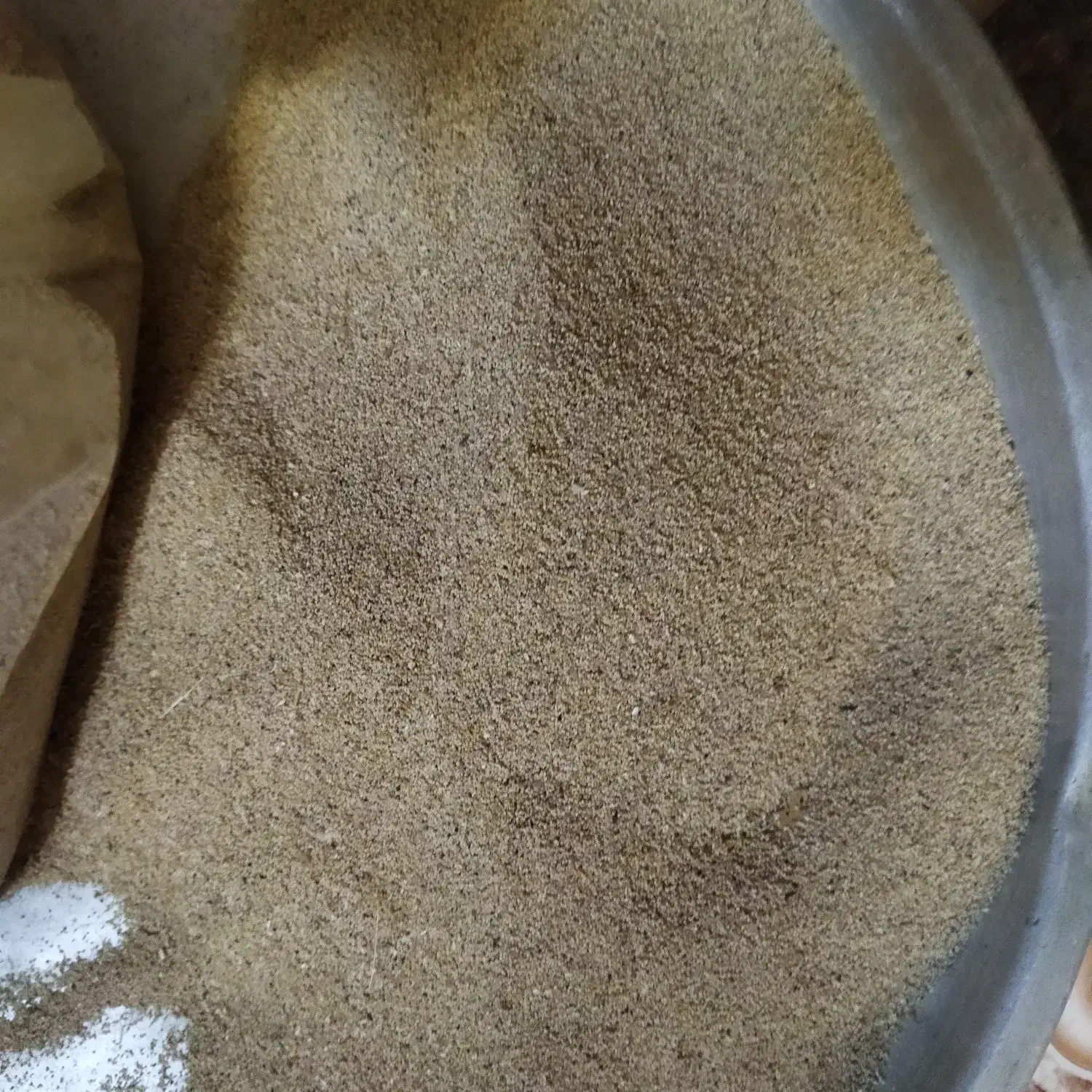 ب شرط درختی|گل و گیاه طبیعی|کوهدشت, |دیوار