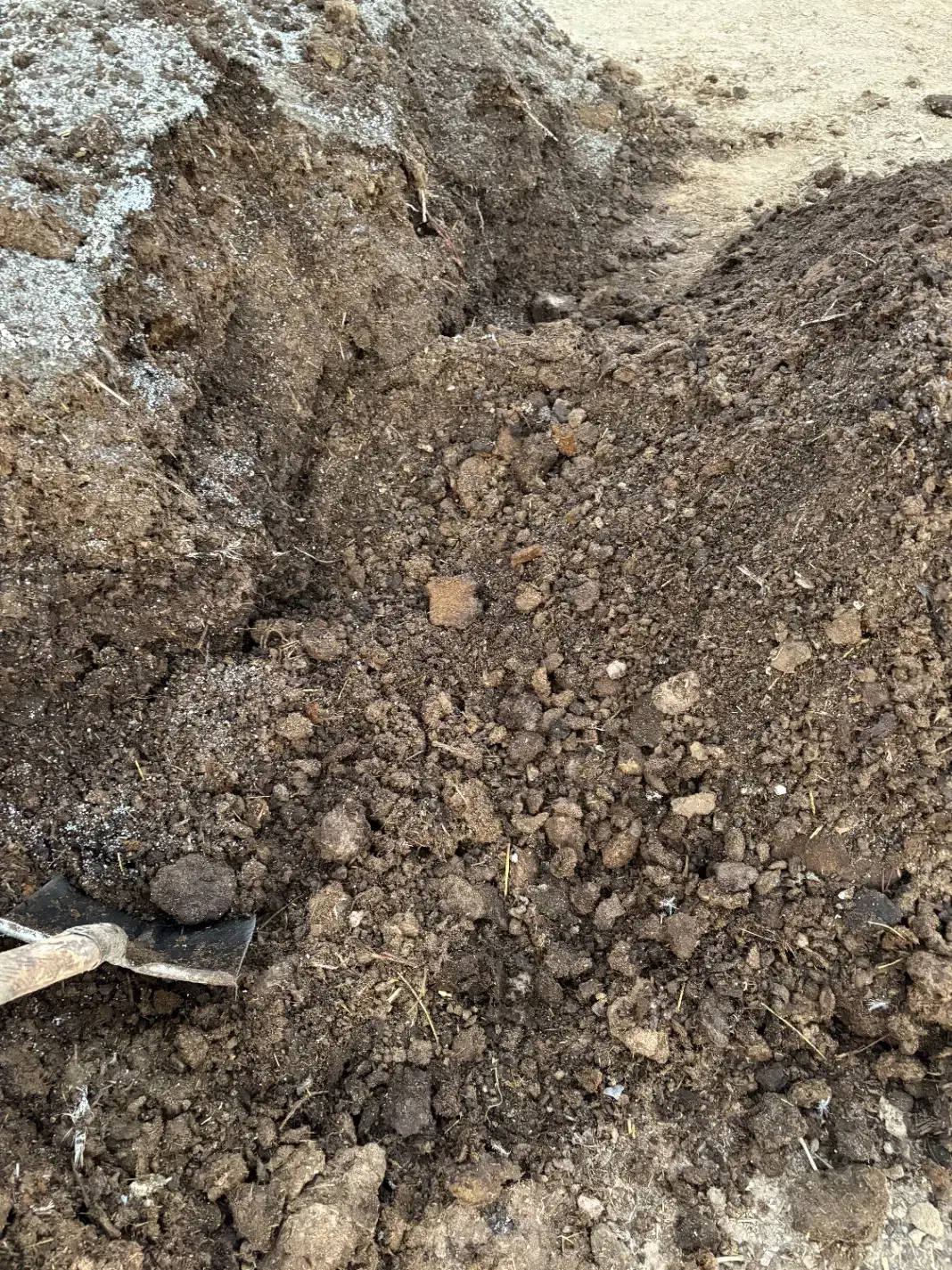 کود گوسفند و گاو پوسیده باگوگرد|خدمات باغبانی و درختکاری|یزد, |دیوار