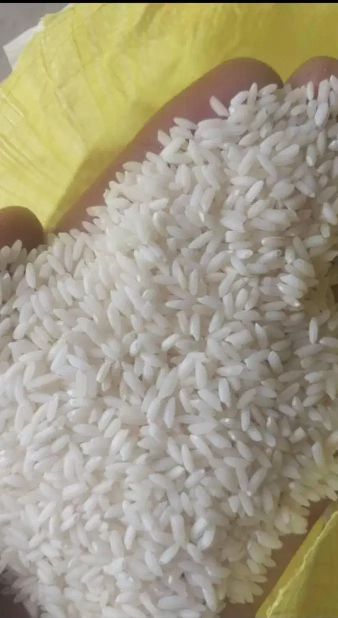 برنج عنبربو درجه یک شوشتر|خدمات پذیرایی، مراسم|شوشتر, |دیوار