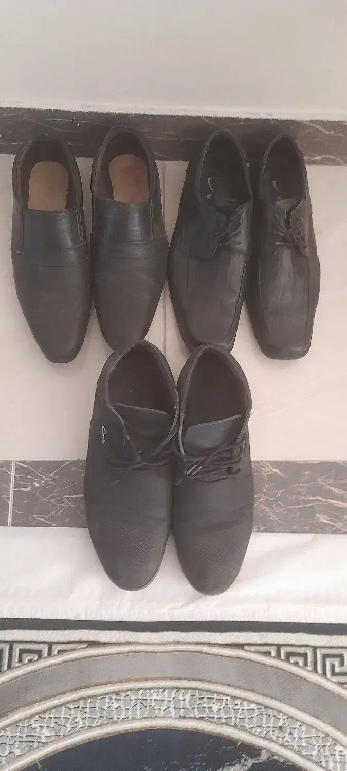 سه جفت کفش مردانه|کیف، کفش، کمربند|مشکیندشت, |دیوار