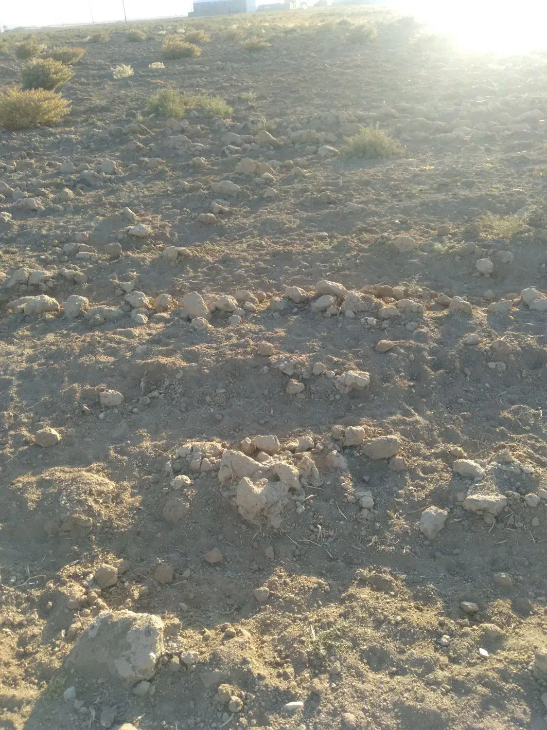 15هکتار زمین با یک حلقه چاه|اجارهٔ دفتر صنعتی، کشاورزی، تجاری|شیروان (لرستان), |دیوار