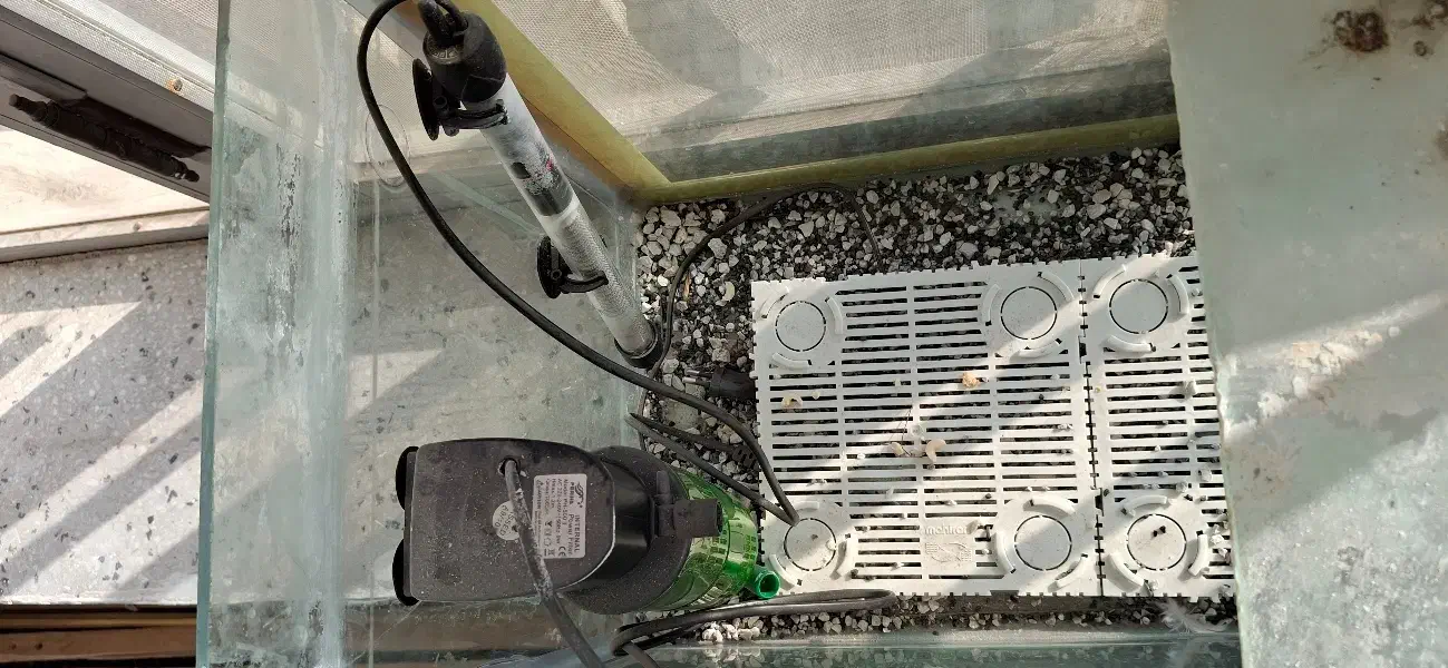 آکواریوم بزرگ سالم با مقداری لوازم|ماهی|تربتحیدریه, شهرک ولیعصر|دیوار