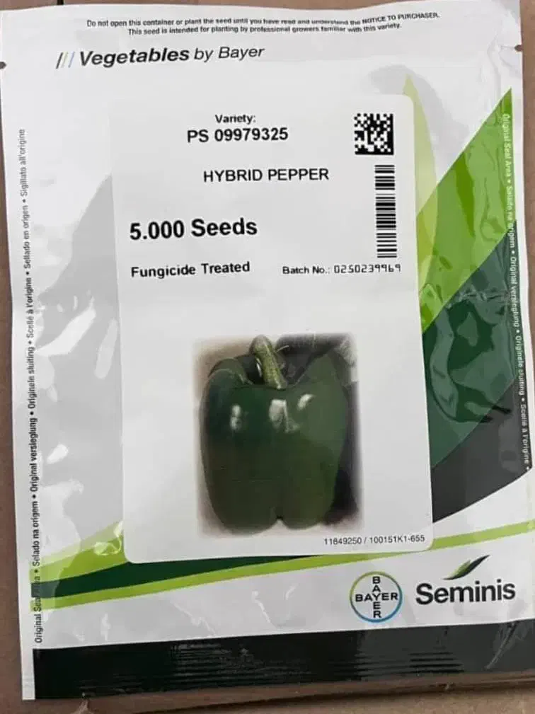 بذر فلفل دلمه ۹۳۲۵و غیره|خدمات باغبانی و درختکاری|شاهین‌شهر, پاسداران|دیوار