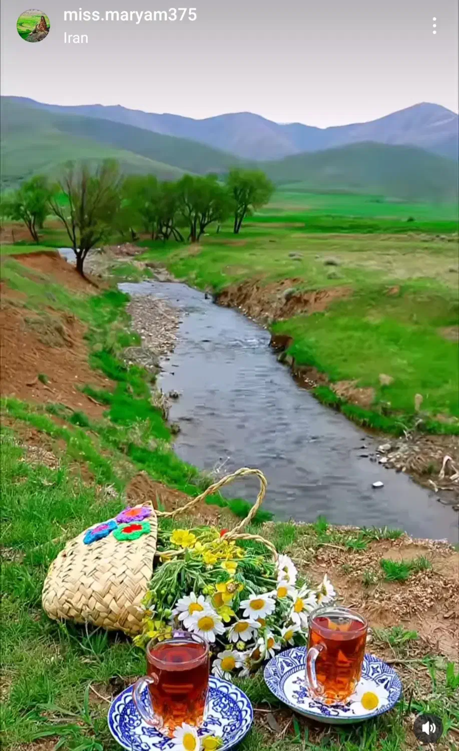 اجاره مغازه|اجارهٔ مغازه و غرفه|شیراز, گلشن|دیوار