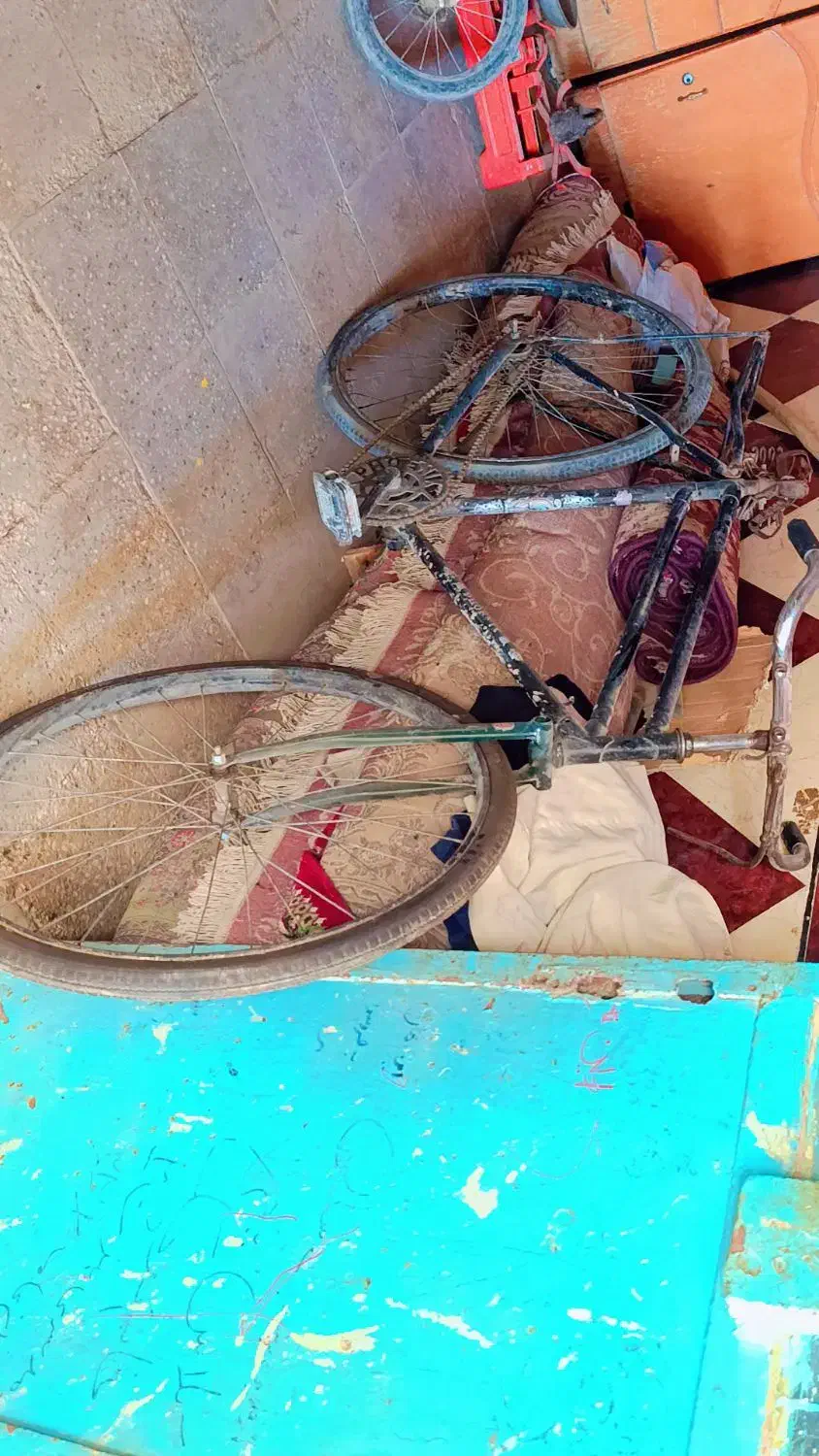 دو چرخه فنیکس|دوچرخه، اسکیت، اسکوتر|اهواز, کوی علوی|دیوار