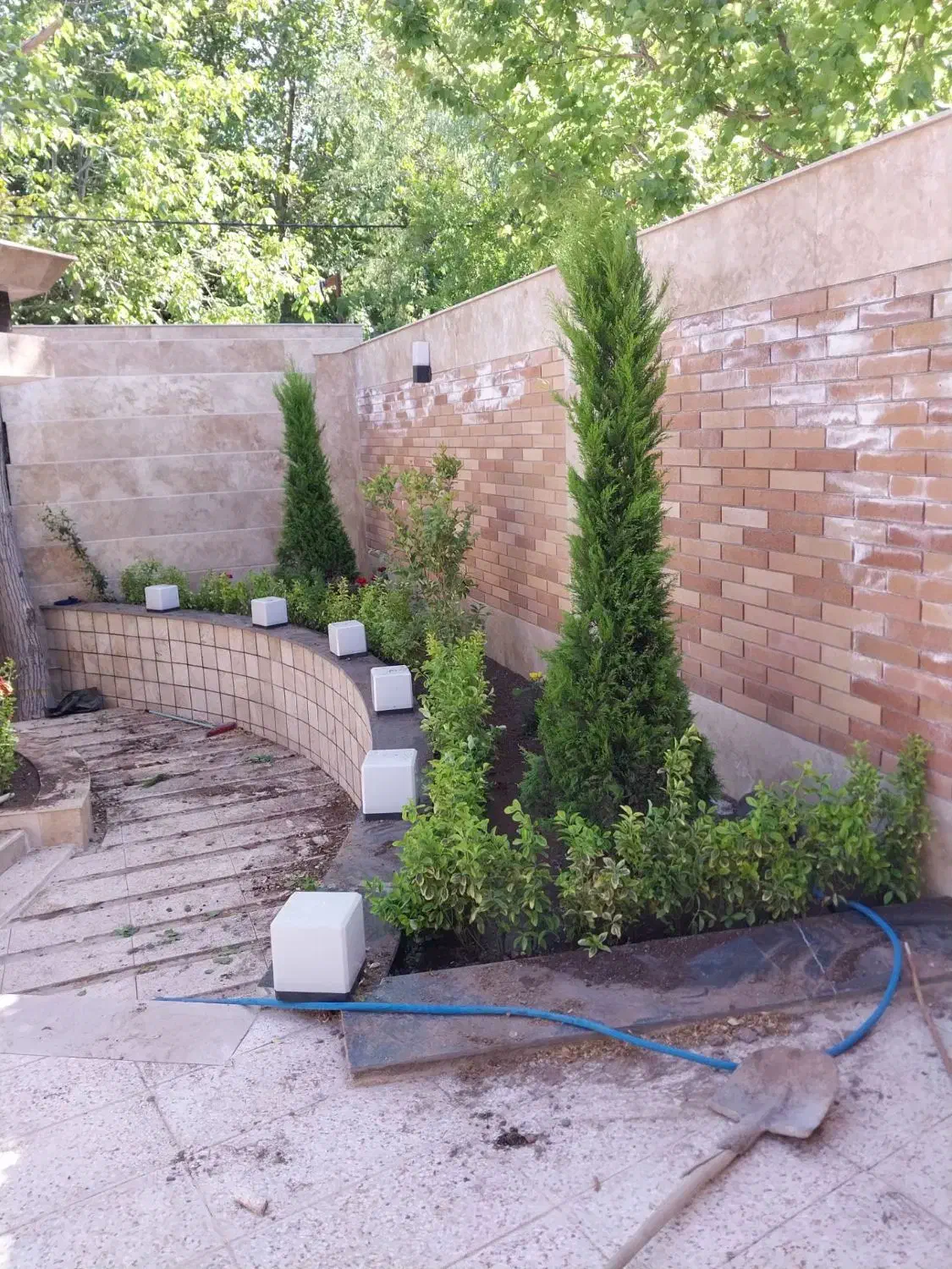 باغبانی|خدمات باغبانی و درختکاری|کرمان, |دیوار