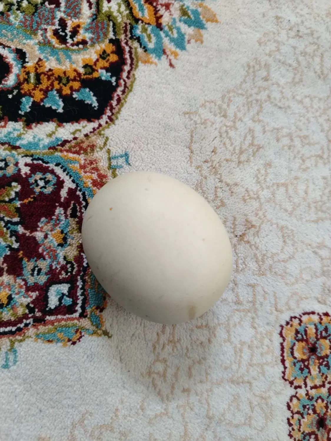 سنگ الماس آسیاب|جواهرات|قوچان, |دیوار