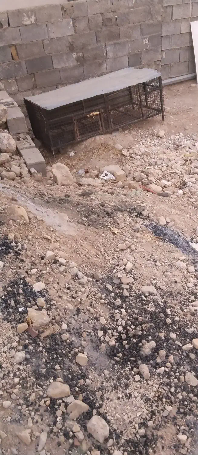 قفس توری مرغ|لوازم جانبی حیوانات|کوه چنار, |دیوار