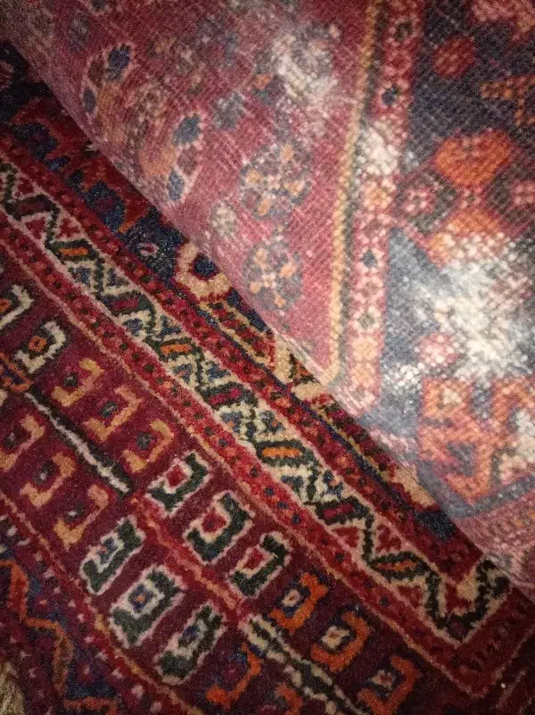 فرش دستباف|فرش|بوشهر, |دیوار