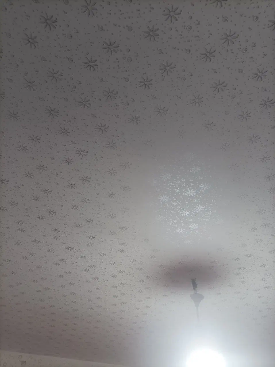 نقاشی طرح کاغذ دیواری تقی زاده|خدمات پیشه و مهارت|سلماس, |دیوار