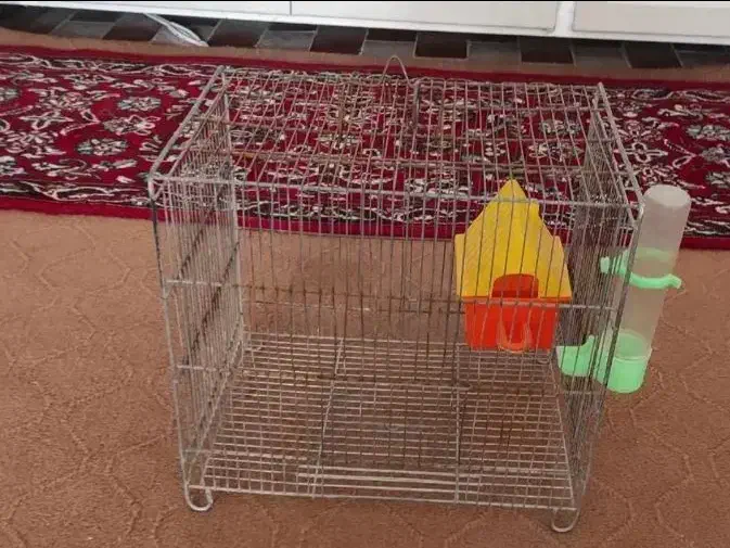 قفس پرنده|لوازم جانبی حیوانات|شاهین‌شهر, شهرک گلدیس|دیوار