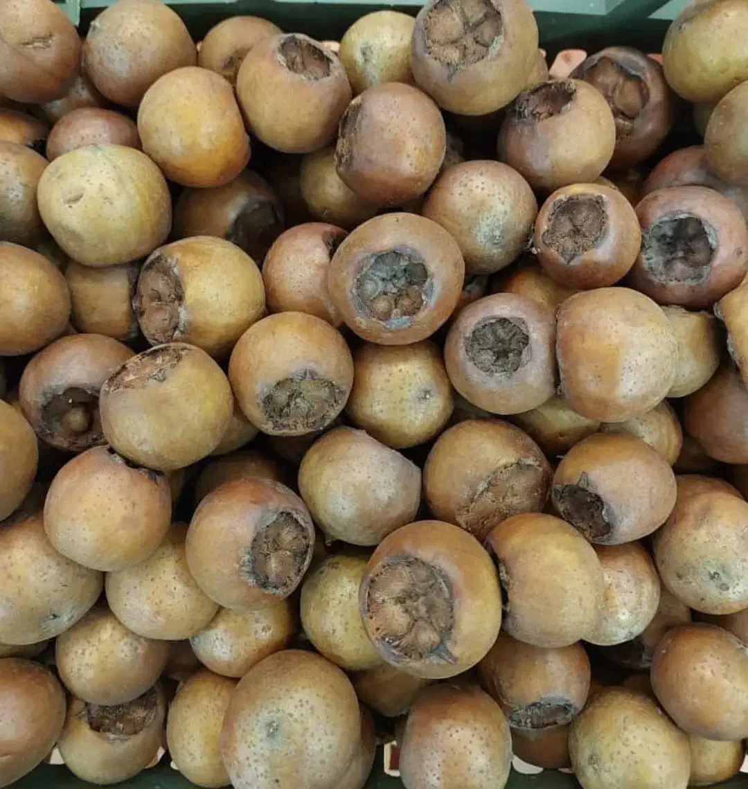 فروش ازگل بصورت عمده وکیلویی|عمدهفروشی|تهران, پرستار|دیوار