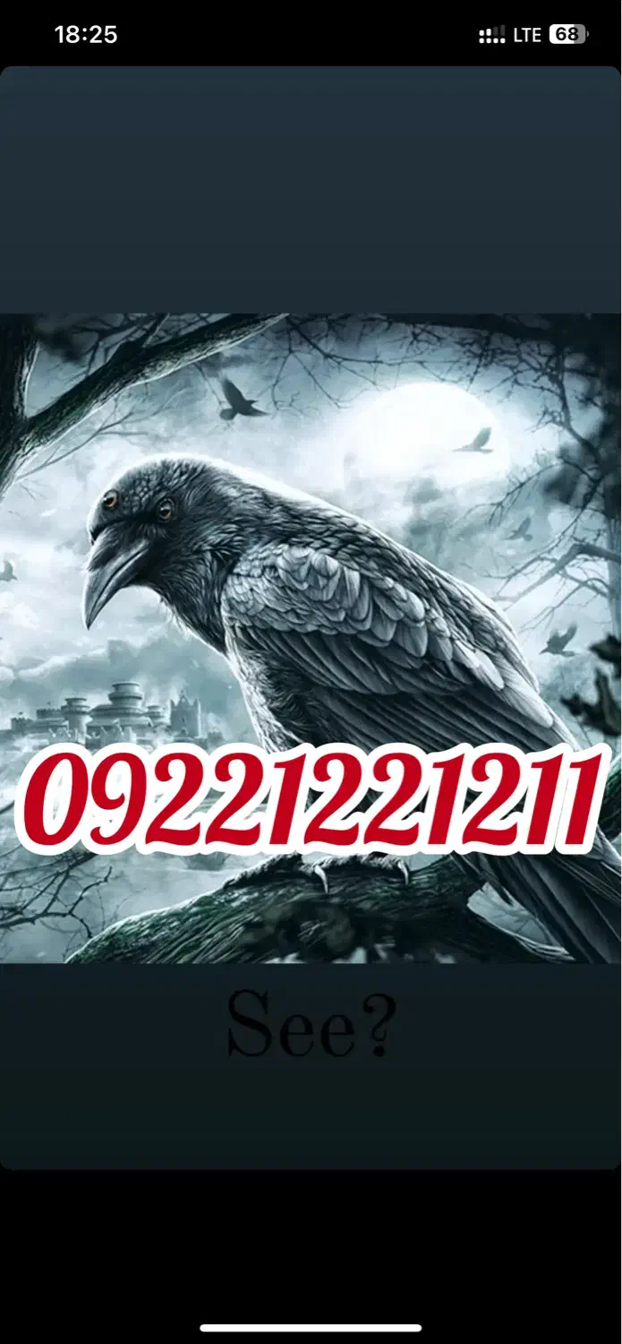 09221221211|سیمکارت|تهران, امام زاده حسن|دیوار