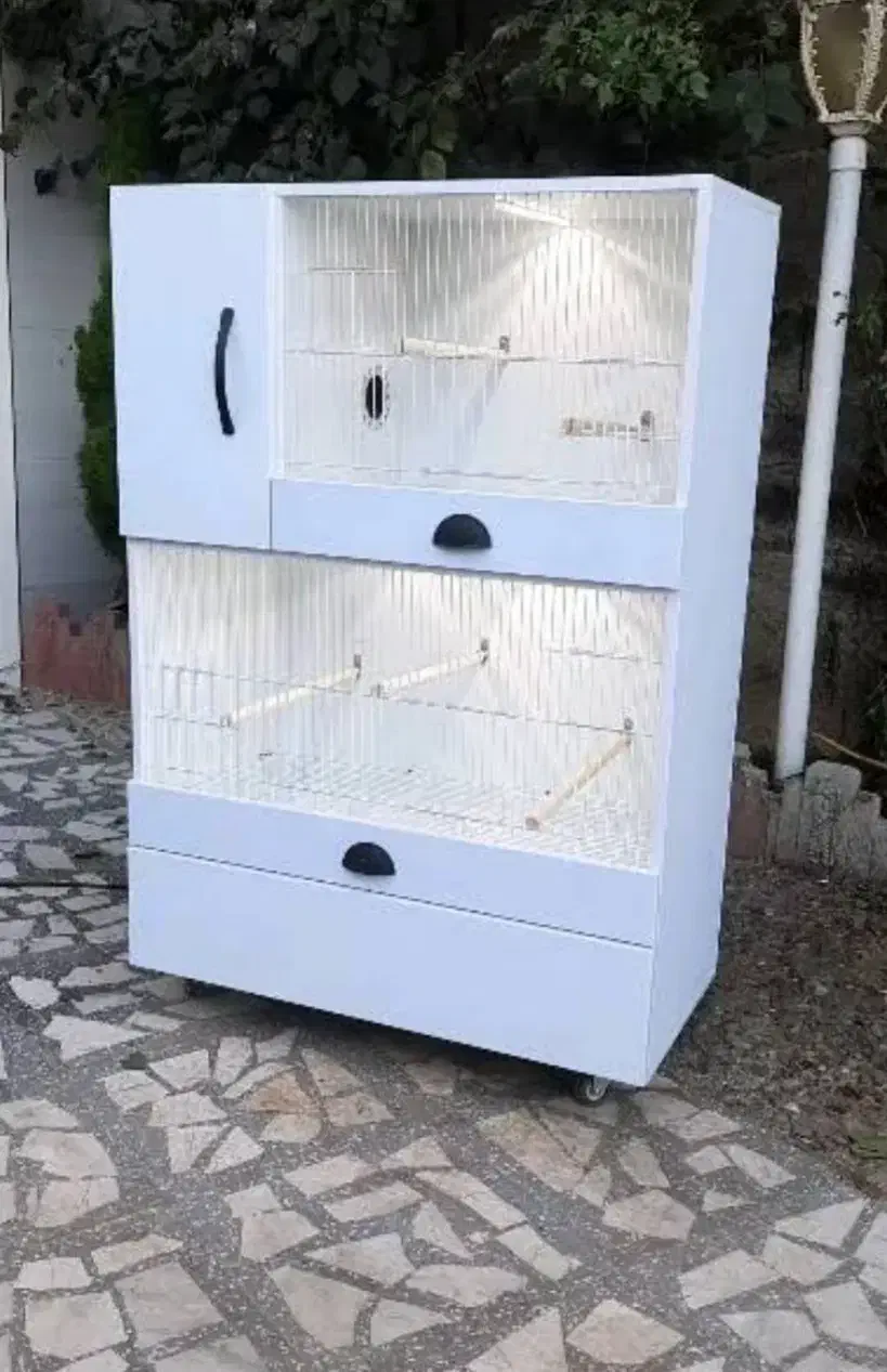 قفس عروس هلندی گرینچیک کوتوله|لوازم جانبی حیوانات|شیراز, شهرک گلستان|دیوار