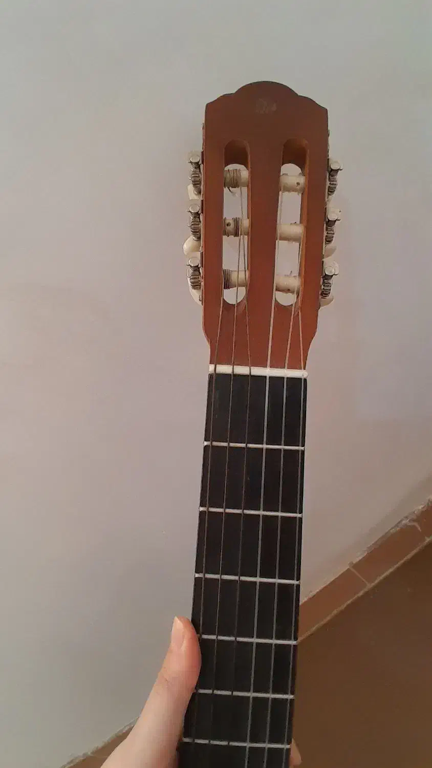 فروش گیتار در حد نو|گیتار، بیس، امپلیفایر|سیاهکل, |دیوار