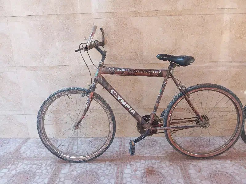 1عدد دوچرخه|دوچرخه، اسکیت، اسکوتر|برازجان, |دیوار