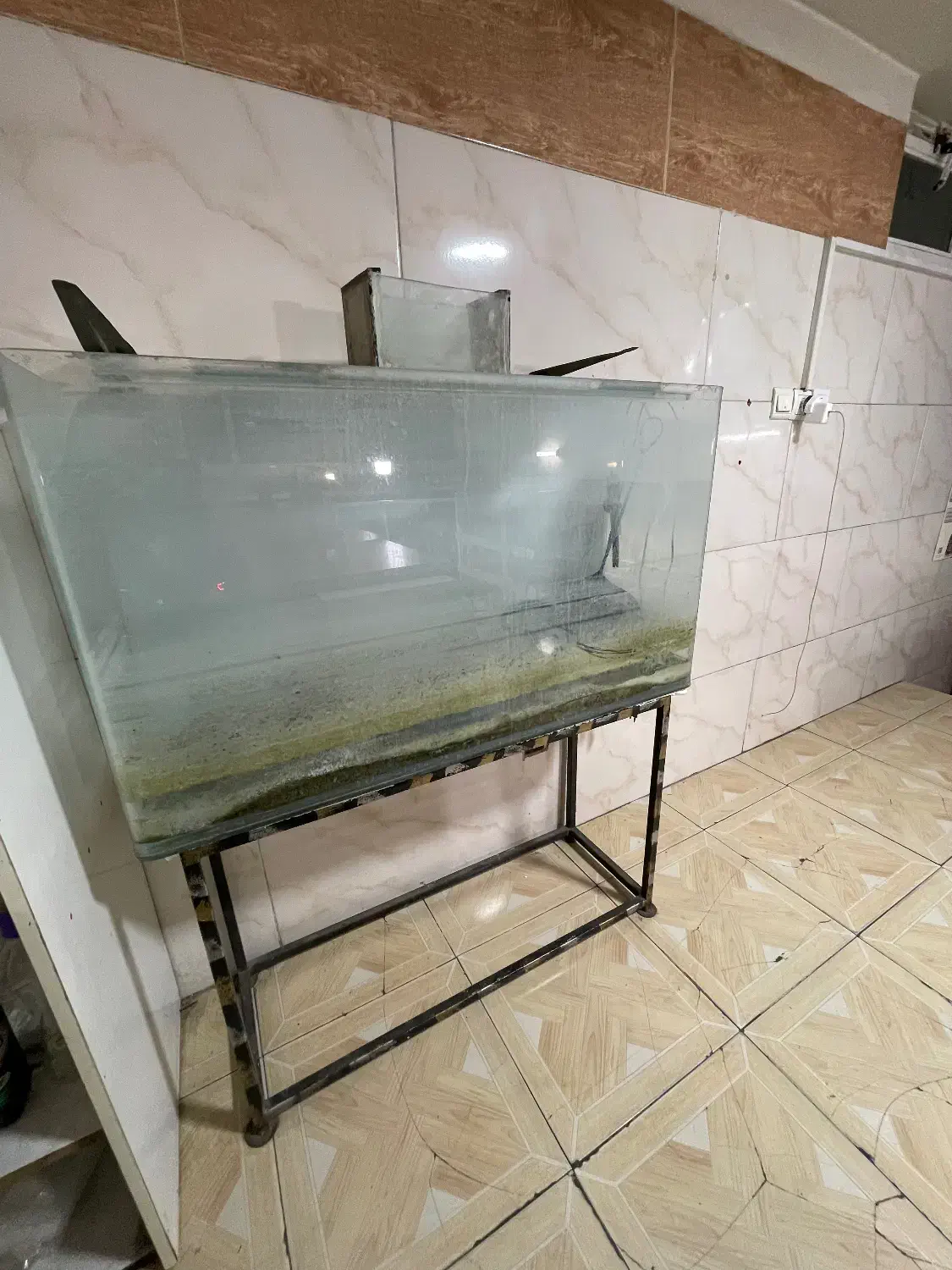 آکواریوم یک در ۴۰|ماهی|رباطکریم, رباطکریم|دیوار