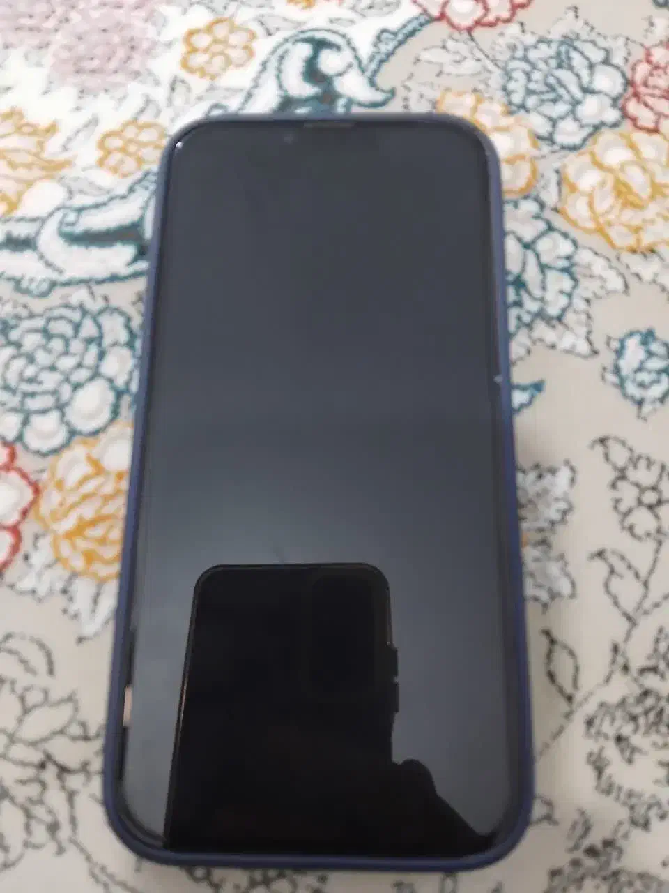 گوشی ۱۳پرومکس ۲۵۶|موبایل|کرج, کمال‌شهر|دیوار