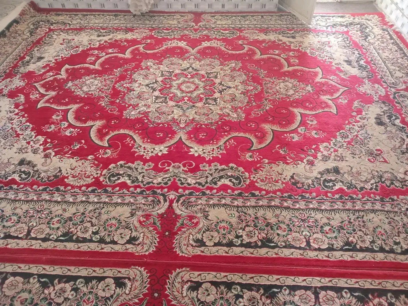 3 عدد قالی قرمز|فرش|تربت جام, پاسداران|دیوار