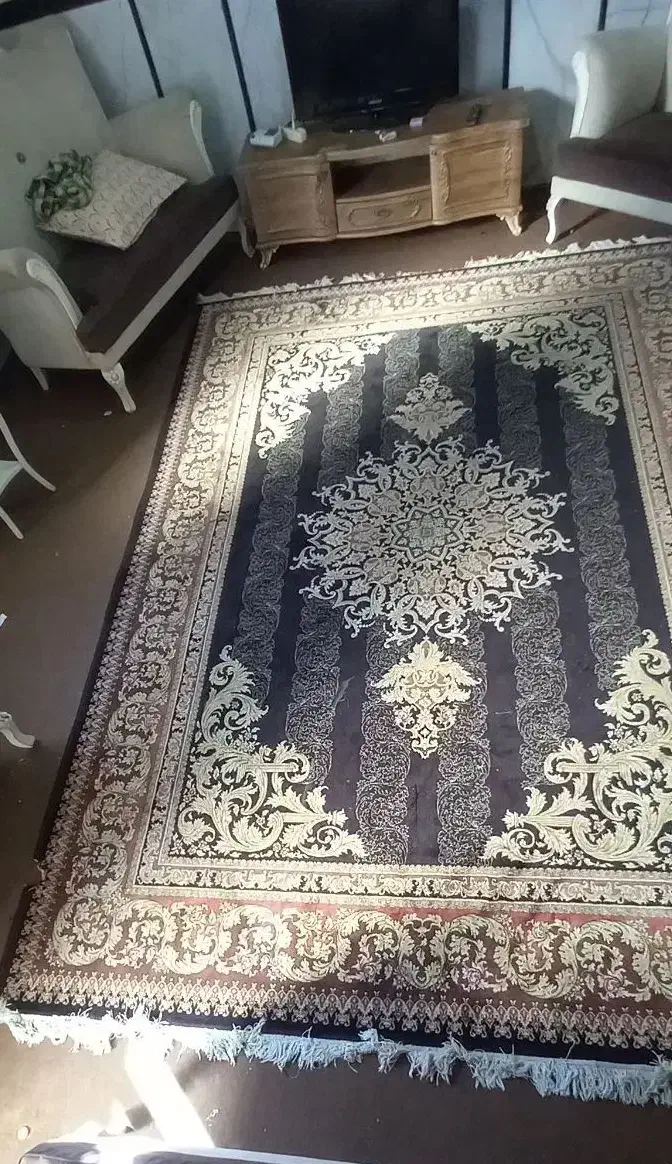 فرش فرحی طرح طلا|فرش|علی‌آباد کتول, |دیوار