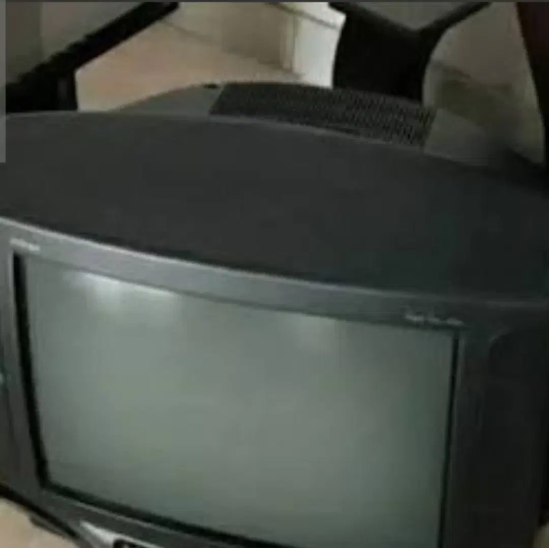 تلویزیون ودیجیتال|تلویزیون و پروژکتور|فامنین, |دیوار