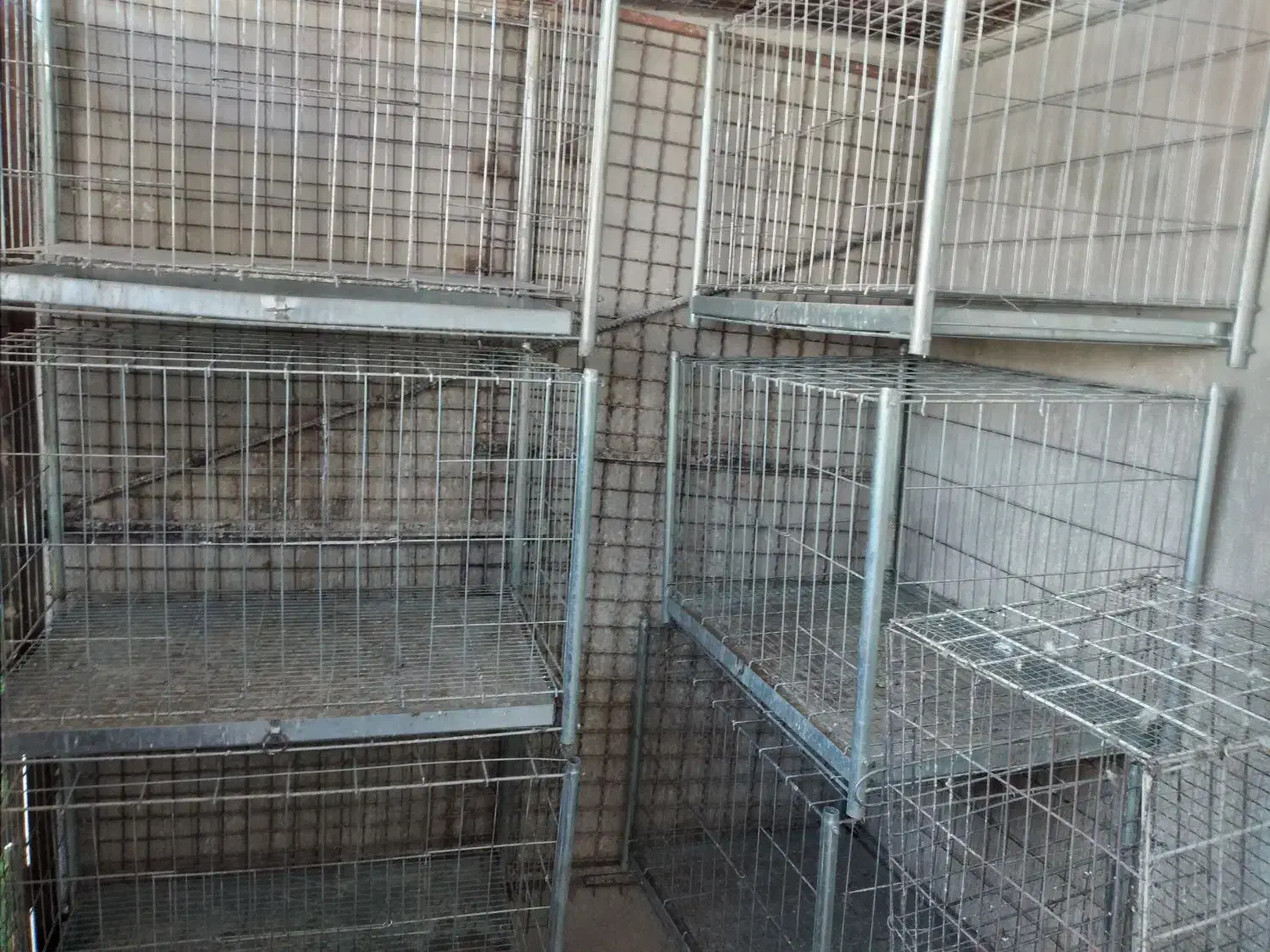 قفس جفت کن کبوتر|لوازم جانبی حیوانات|ایلام, |دیوار