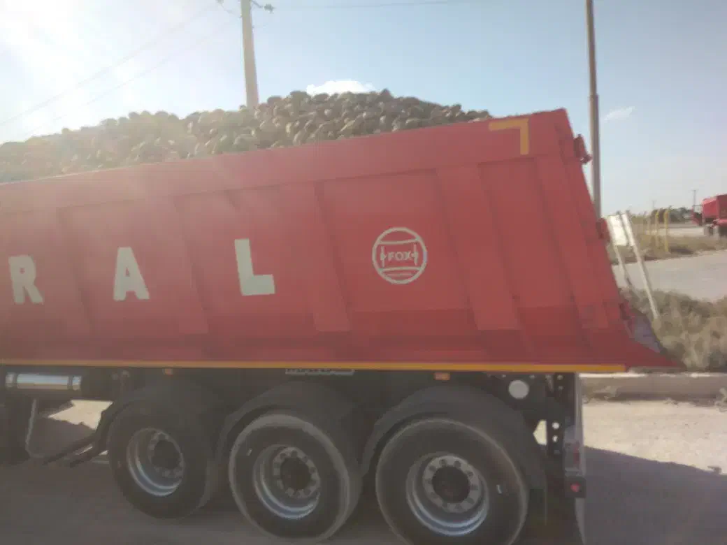 خوش خوراک دام|لوازم جانبی حیوانات|بشاریات, |دیوار