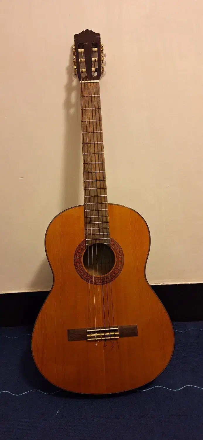 گیتار اورجینال اندونزی c70|گیتار، بیس، امپلیفایر|یاسوج, |دیوار