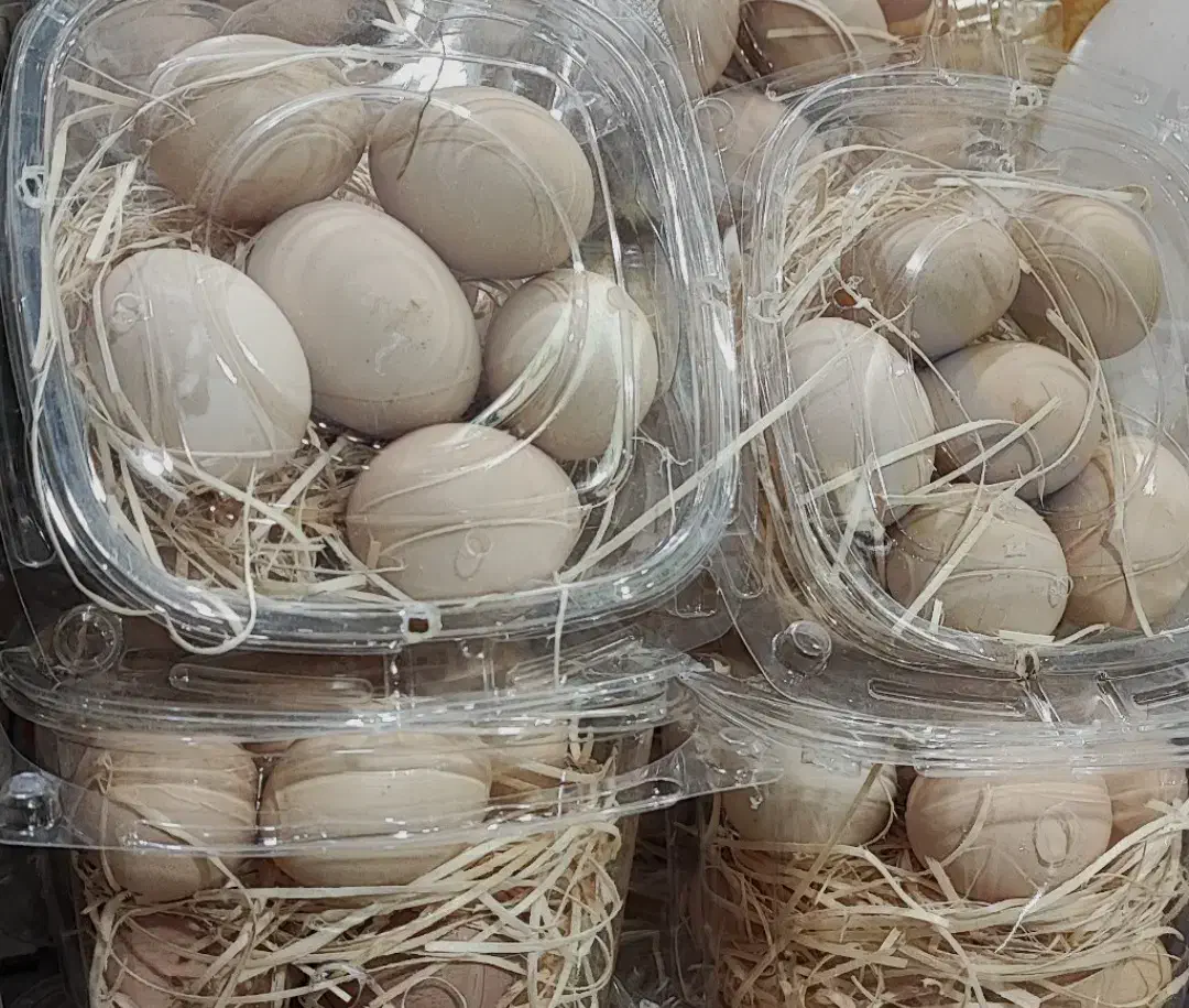 تخم مرغ محلی گلپایگانی با پیک رایگان|خوردنی و آشامیدنی|تهران, تجریش|دیوار