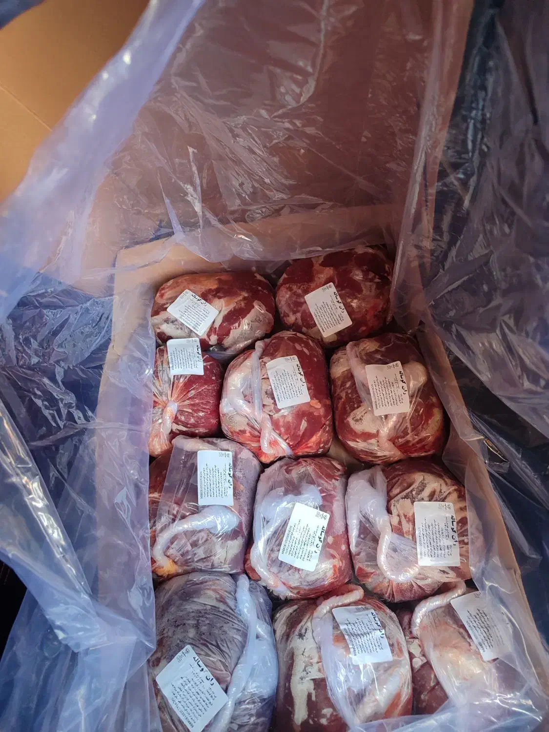 ران و دست منجمد|عمدهفروشی|محمدشهر, ولدآباد|دیوار