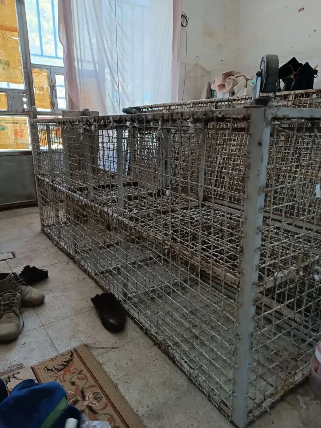 قفس چهارطبقه|لوازم جانبی حیوانات|صحنه, |دیوار