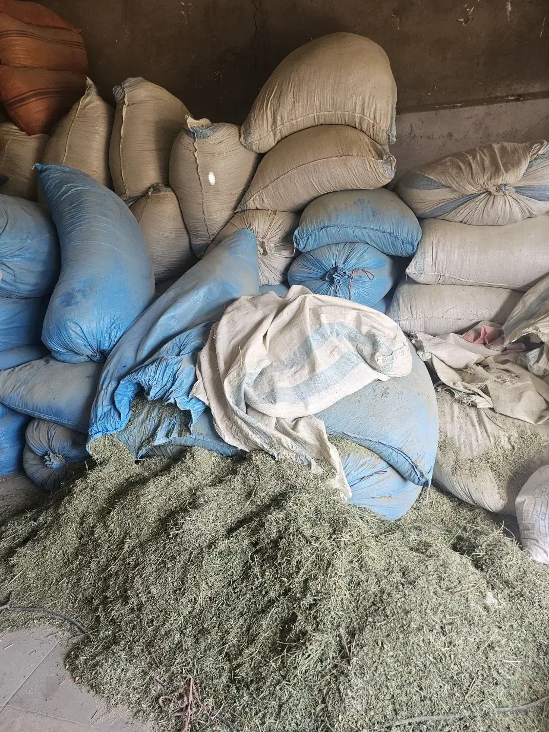 یونجه  آسیاب شده|خدمات باغبانی و درختکاری|خرم‌آباد, |دیوار