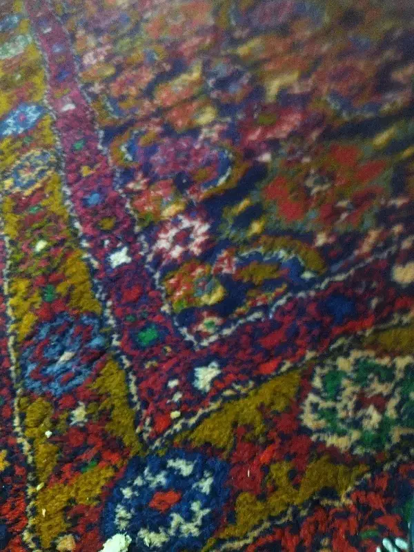 فرش دستبافت قدیمی ۴تا از هر عکس دوتا|فرش|قشلاق دشت, |دیوار