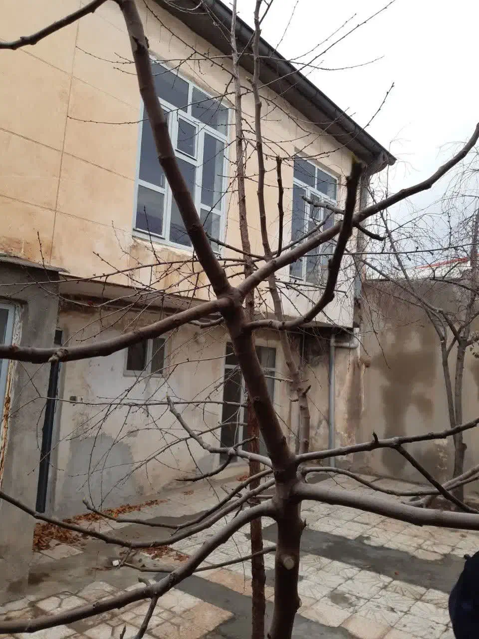 اجاره ساختمان|اجارهٔ خانه و ویلا|مراغه, |دیوار