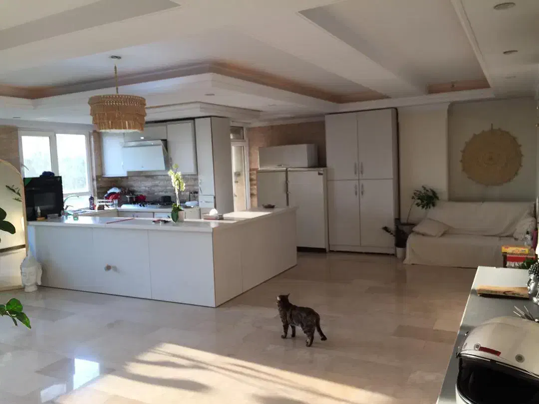 ۱۲۰متر/۷ساله/پونک.ایران زمین شمالی