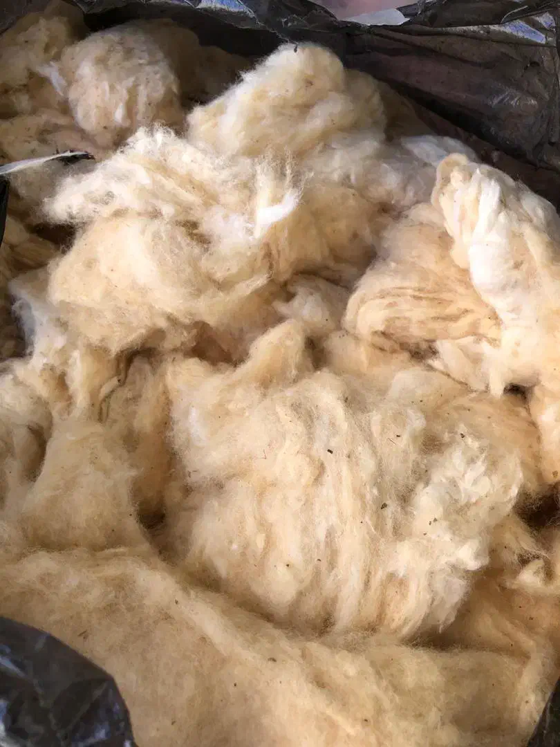 پنبه گل کیلویی|رختخواب، بالش، پتو|شیراز, شهرک گلستان|دیوار