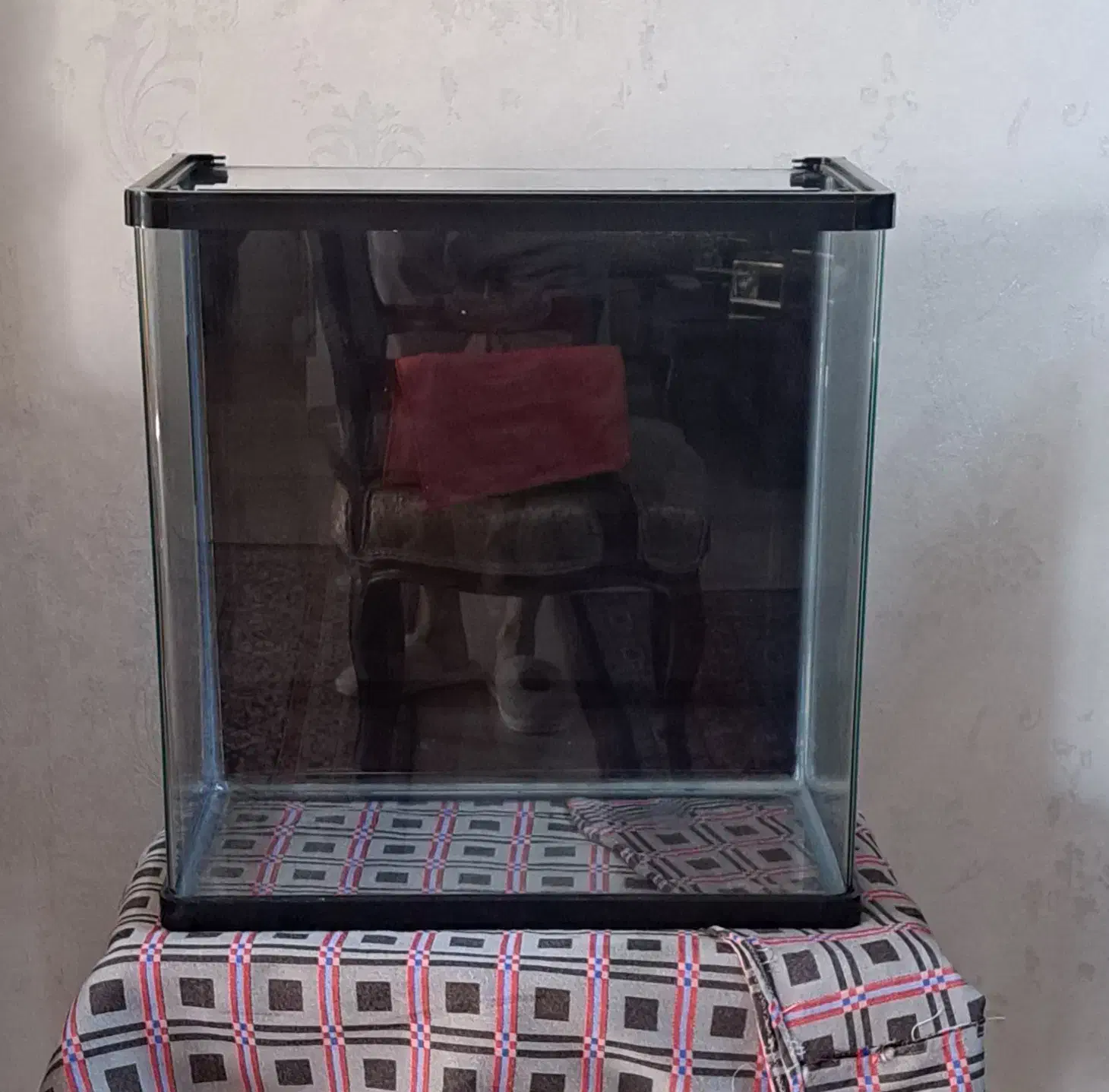 آکواریوم شیشه خم|ماهی|مشهد, کوثر|دیوار