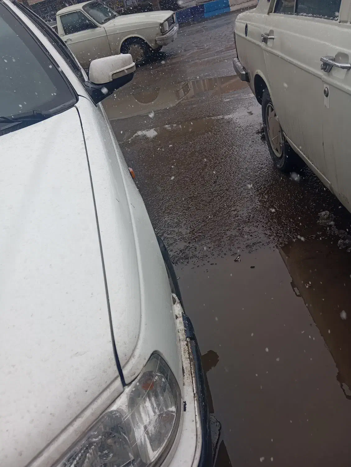 پژو پارس|خودرو سواری و وانت|بناب, |دیوار