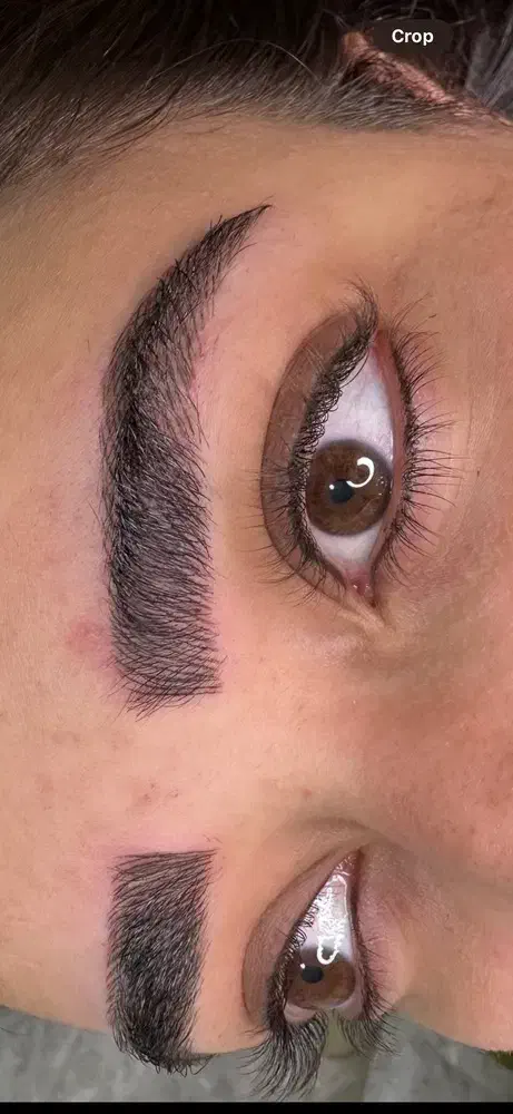 اموزش میکروبلیدیگ|خدمات آموزشی|پرند, فاز ۵|دیوار