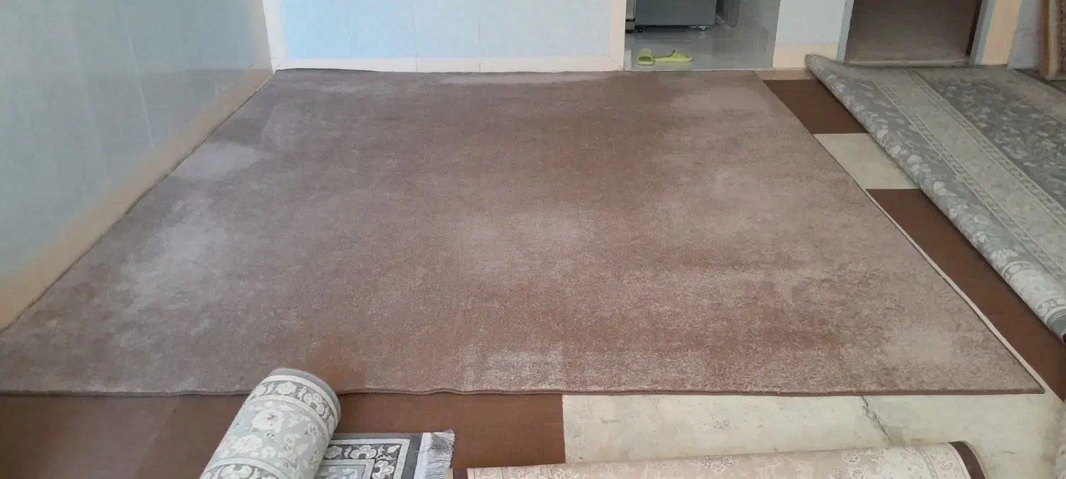 موکت طرح رویال پرزدار ظریف مصور|موکت|کرمانشاه, |دیوار